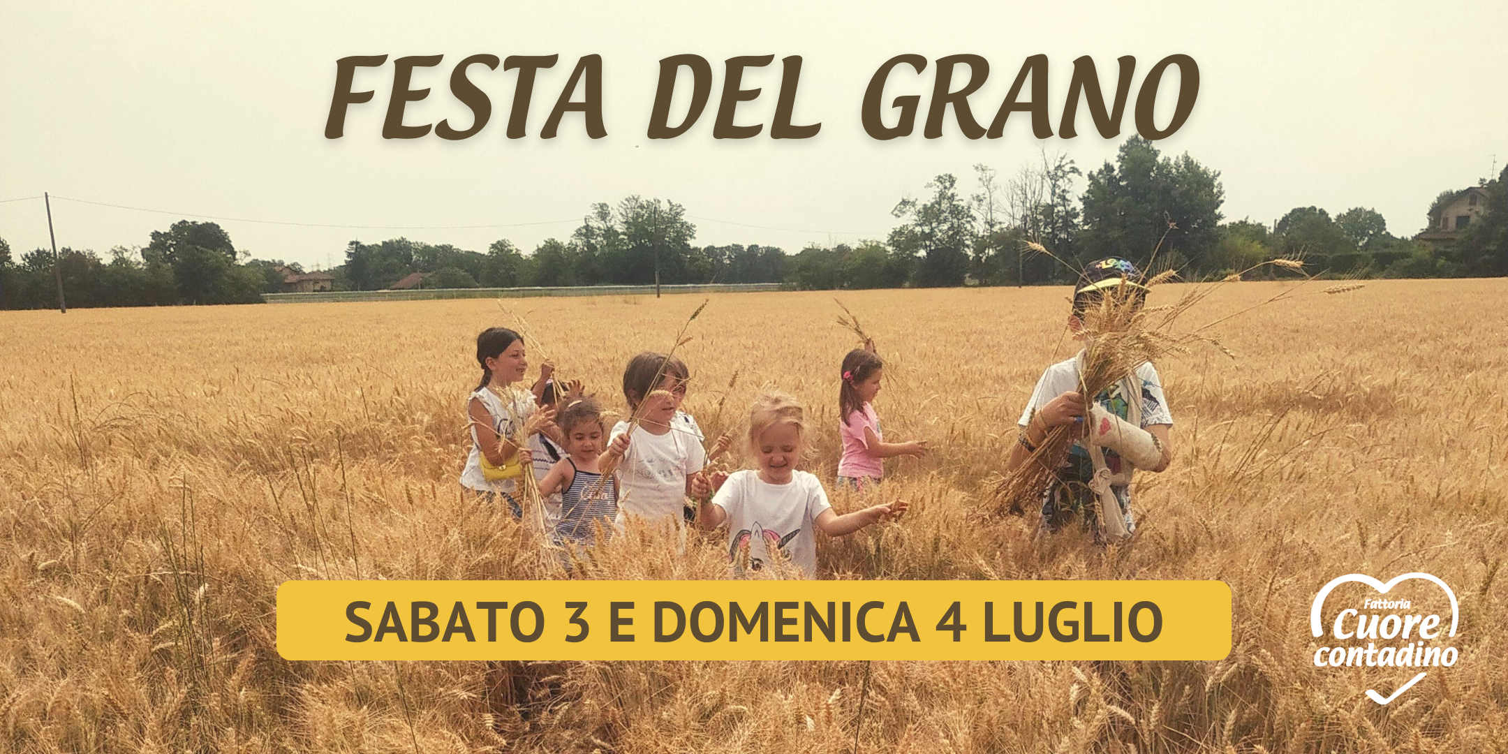 festa-grano