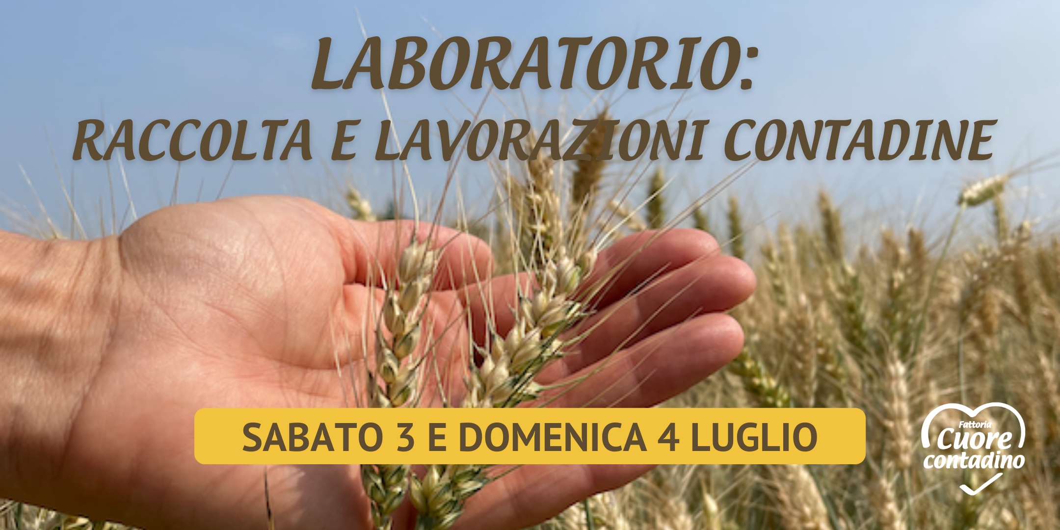 laboratorio-grano